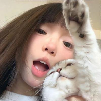 老鼠危机