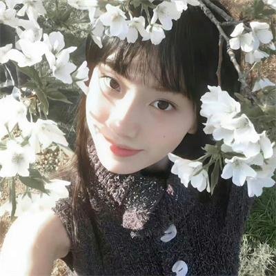 神探特伦特第三季