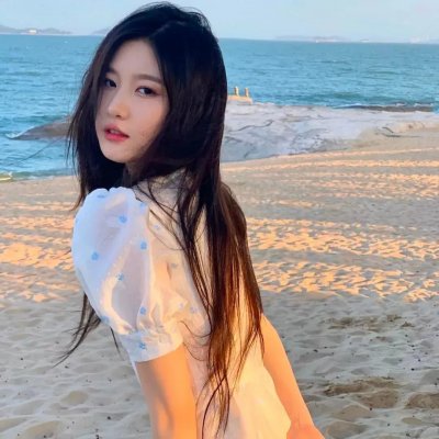 瑞典人在美国
